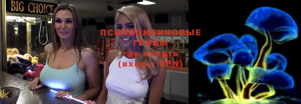 гидра Баксан