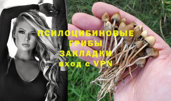 MESCALINE Аркадак
