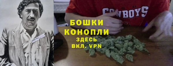 MESCALINE Аркадак