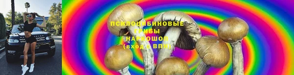 MESCALINE Аркадак