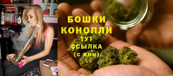 гидра Баксан