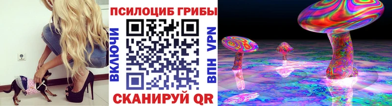 где можно купить наркотик Валдай Галлюциногенные грибы MAGIC MUSHROOMS